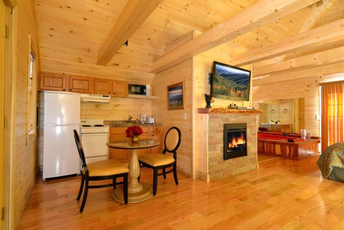 Mountain High Villa Гетлинбург Екстериор снимка