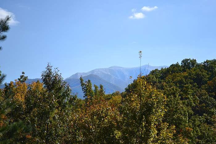 Mountain High Villa Гетлинбург Екстериор снимка