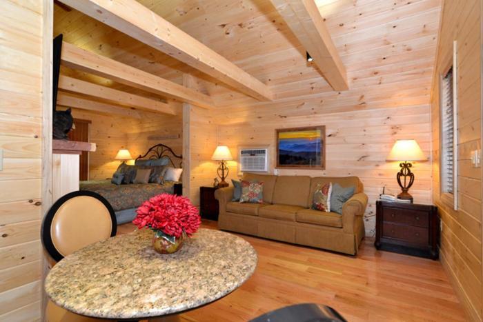 Mountain High Villa Гетлинбург Екстериор снимка
