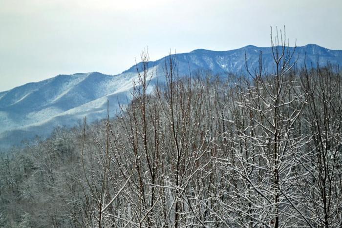 Mountain High Villa Гетлинбург Екстериор снимка